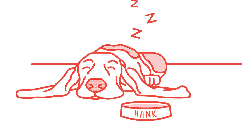 Sleepy Hank of DN3 Design
